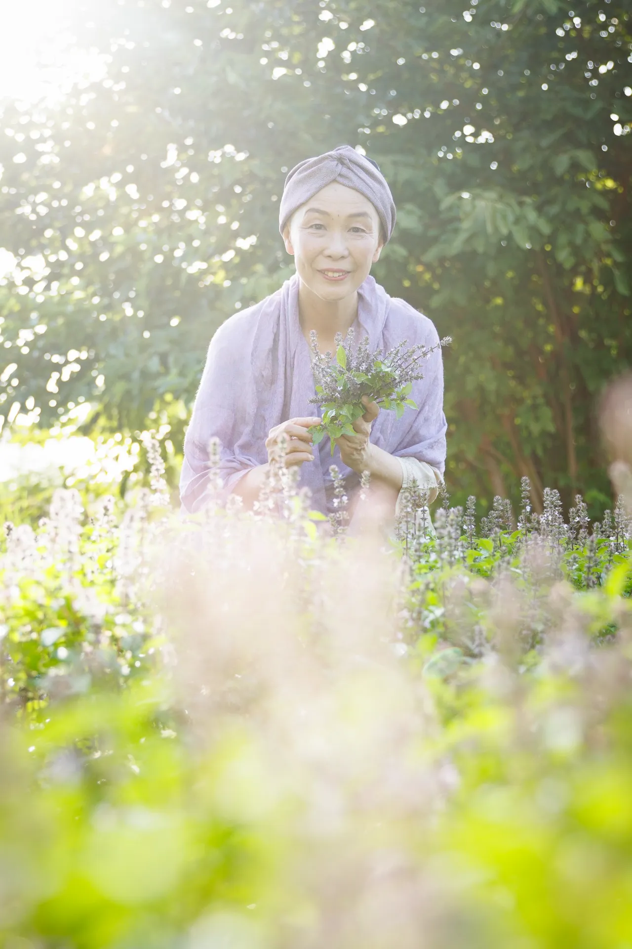 トゥルシーを育てています
