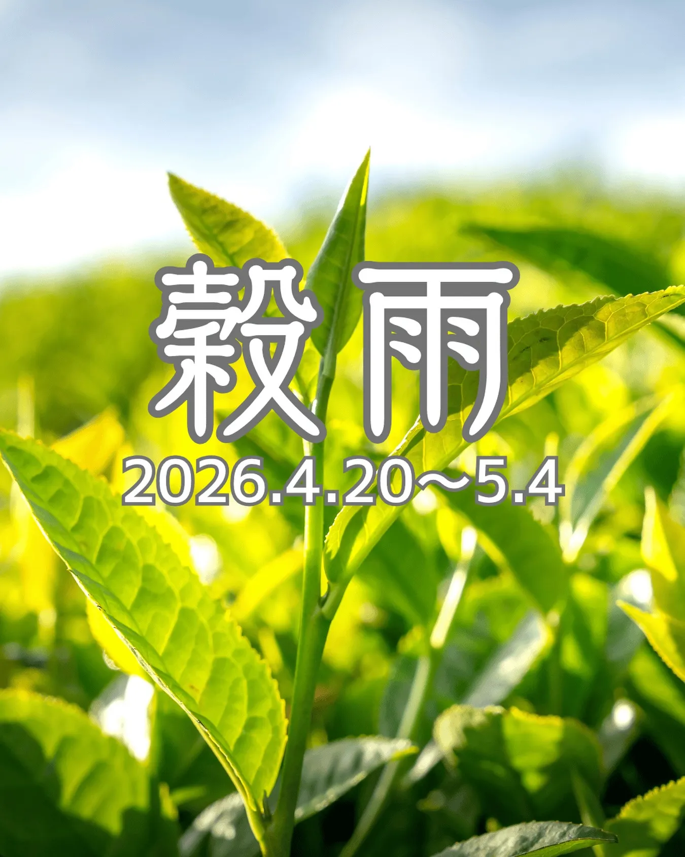 二十四節気の過ごし方