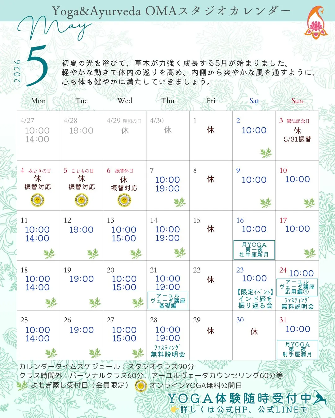 「もう5月?」と感じる季節の早さ🌿