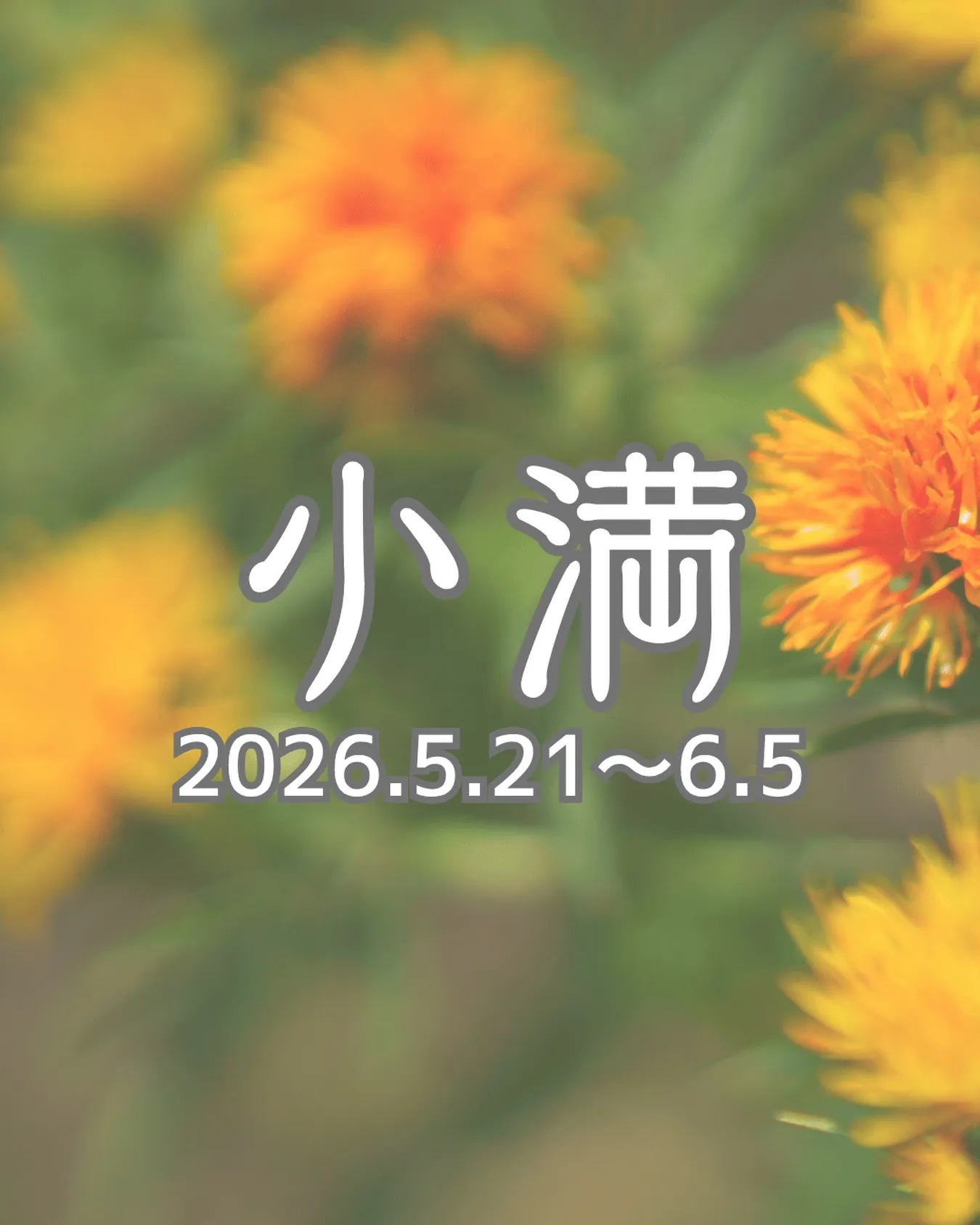 【二十四節気の過ごし方】