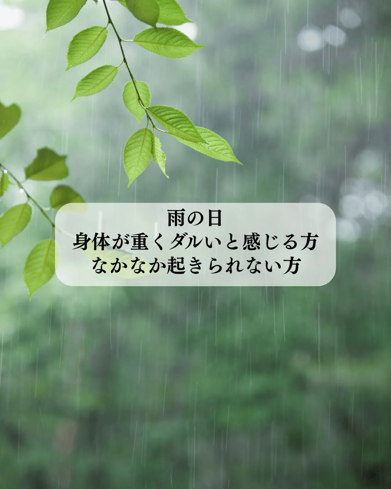 【アーユルヴェーダで紐解く雨の日の過ごし方】