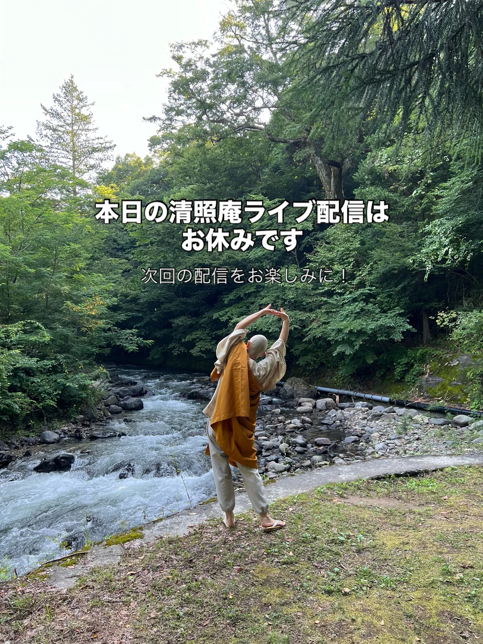 【本日の清照庵のライブ配信はお休みです】